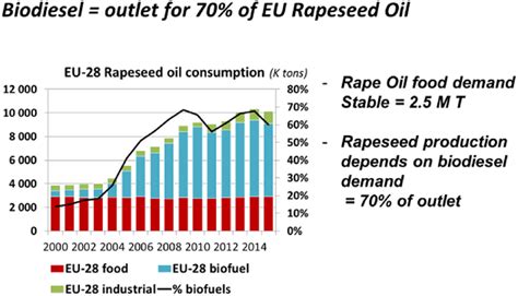 Rapeseedöl – Wie beeinflusst das vielseitige Öl die Biokraftstoffproduktion und den Lebensmittelmarkt?