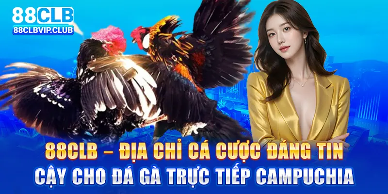 88CLB – Địa chỉ cá cược đáng tin cậy cho đá gà trực tiếp Campuchia