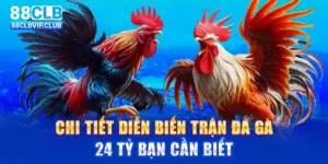 Trận gà 24 tỷ – Chi tiết về trận đấu kinh điển