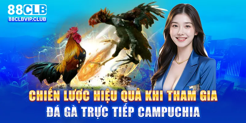 Chiến lược hiệu quả khi tham gia đá gà trực tiếp Campuchia