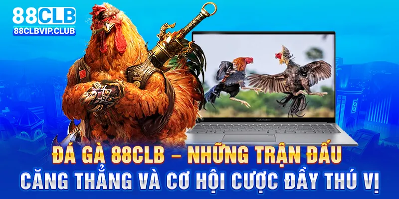 Đá gà 88CLB – Những trận đấu căng thẳng và cơ hội cược đầy thú vị