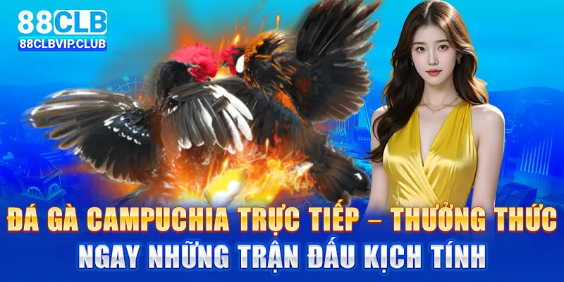 Đá gà Campuchia trực tiếp – Thưởng thức ngay những trận đấu kịch tính