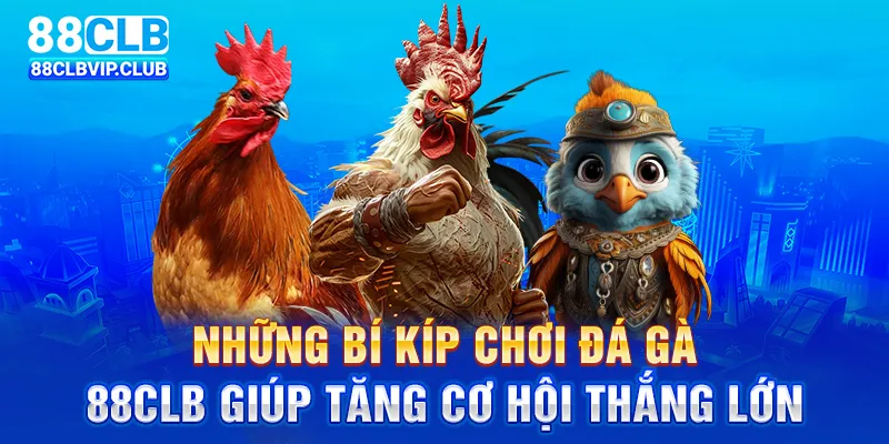 Những bí kíp chơi đá gà 88CLB giúp tăng cơ hội thắng lớn