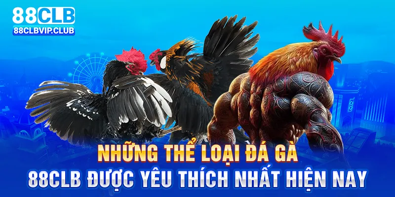 Những thể loại đá gà 88CLB được yêu thích nhất hiện nay